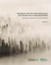 Wildfire Resilience Roadmap